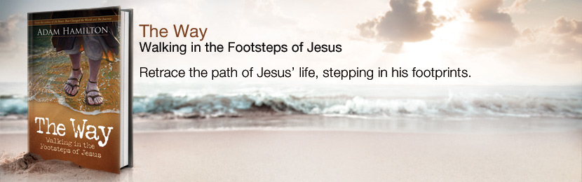 Adam Hamilton - The Way