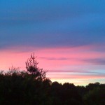 Experience at Lincoln Park