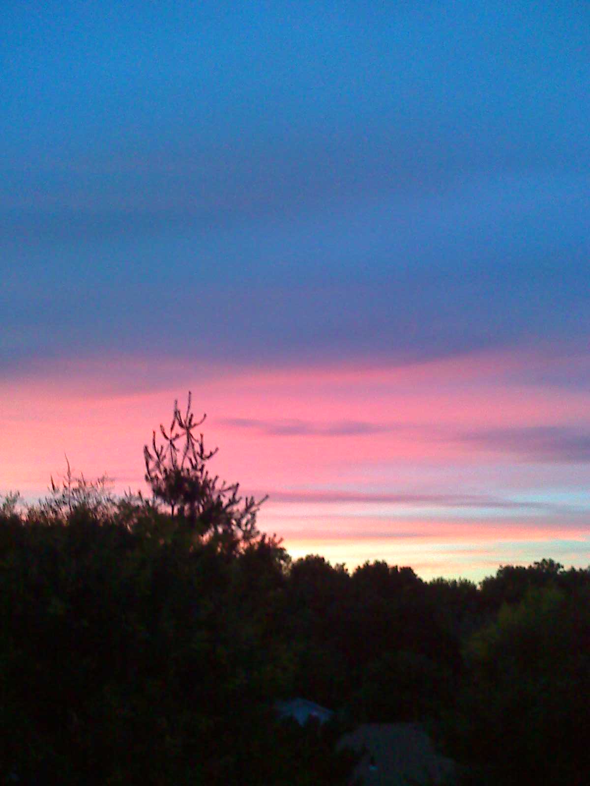 Experience at Lincoln Park