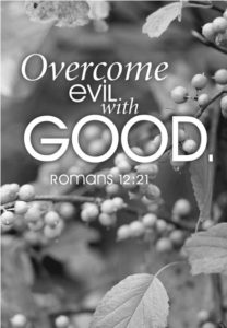 Do not be overcome by evil, but overcome evil with good (Rom. 12:21)