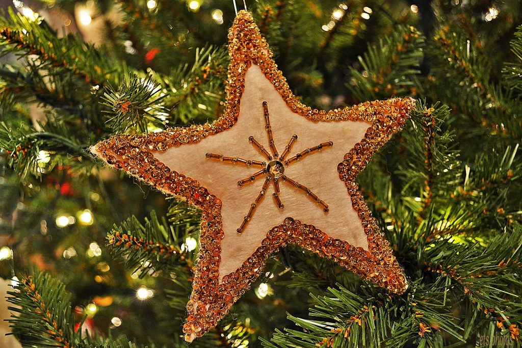 Christmas Star Ornament on the Tree