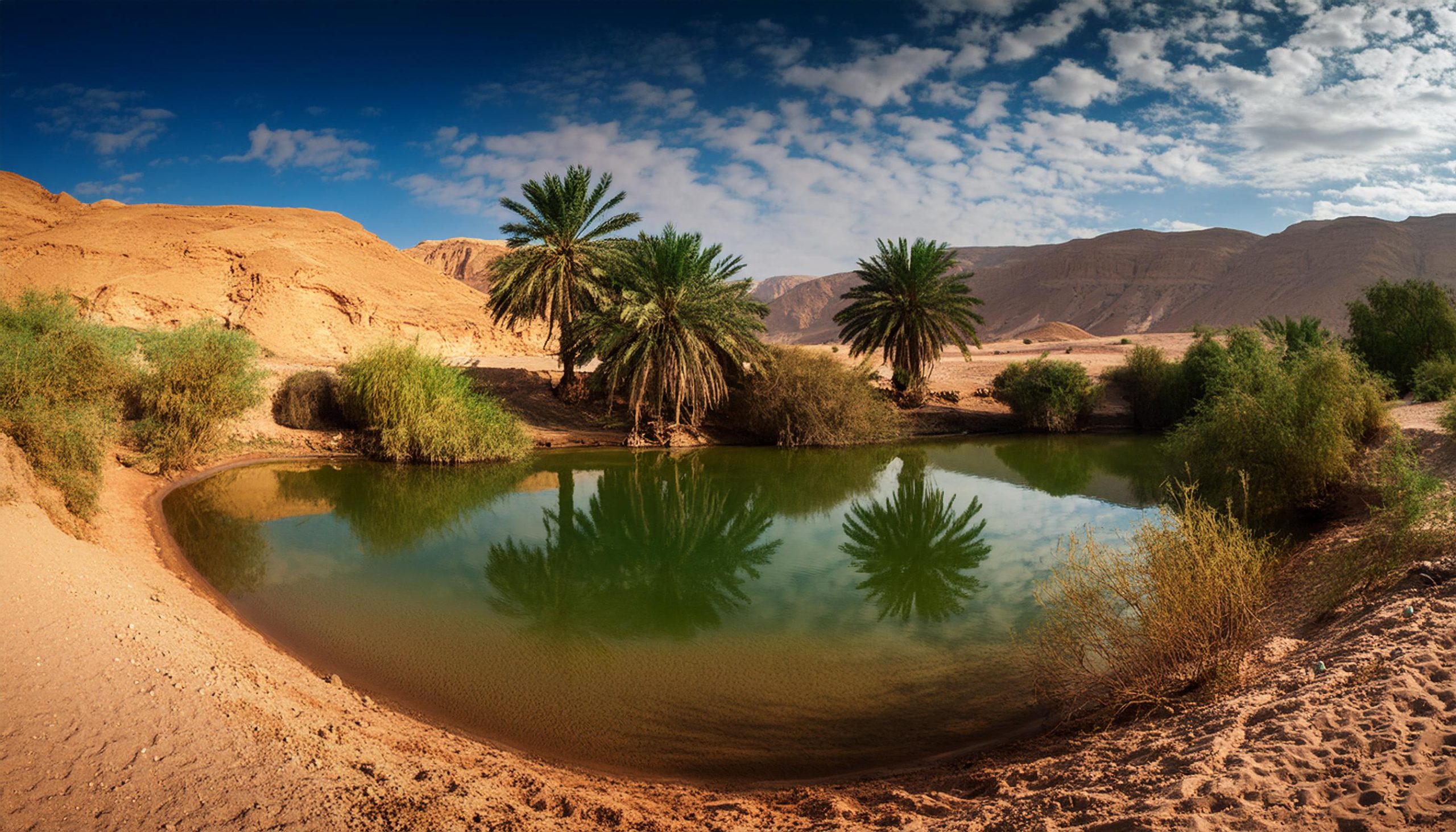 a pond in the desert
