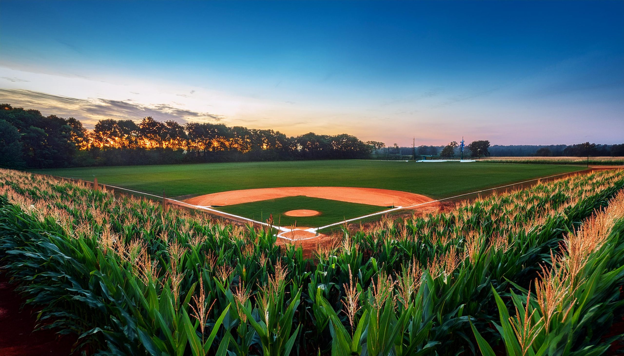 baseball diamond in a cornfield at dusk