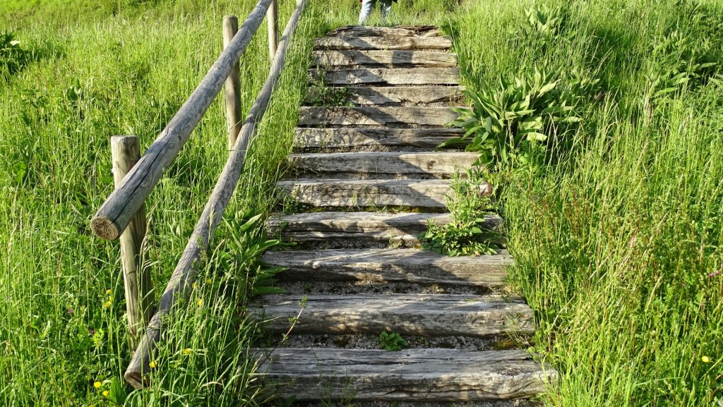 Steps near to the The Aulps Abbey at St Jean d'Aulps, Haute-Savoie, France. - Photo by Elizabeth Jamieson on Unsplash