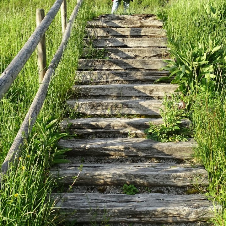 Steps near to the The Aulps Abbey at St Jean d'Aulps, Haute-Savoie, France. - Photo by Elizabeth Jamieson on Unsplash
